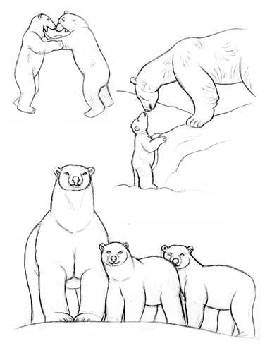 dibujo oso polar y cria 