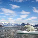 habitat oso polar